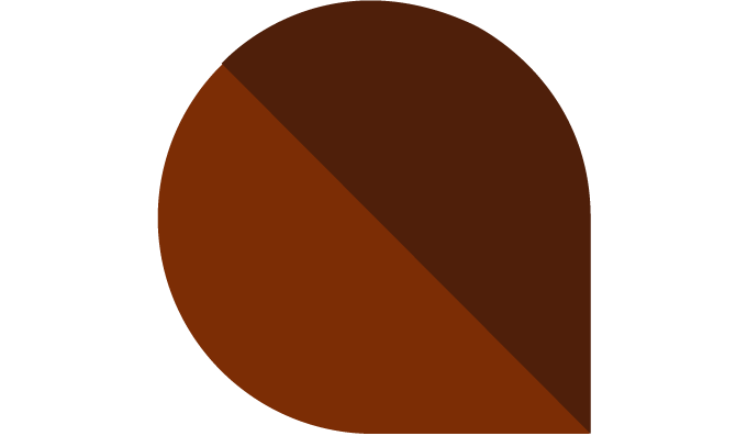 chocolat-marron