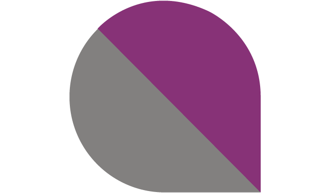 gris-violet